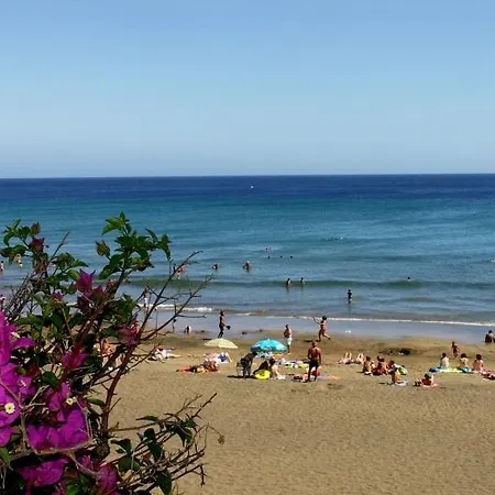 Apartment Playamar